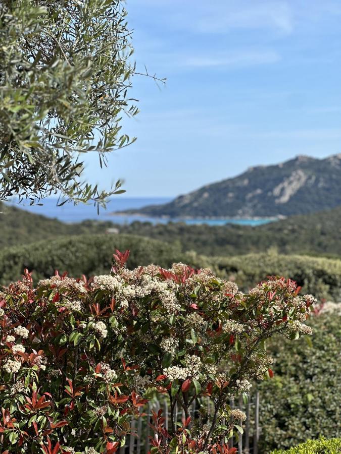 فيلا Tres Belle Bergerie Avec Piscine Chauffee A 1 Km De Santa Giulia بورتو فيكشْيو المظهر الخارجي الصورة